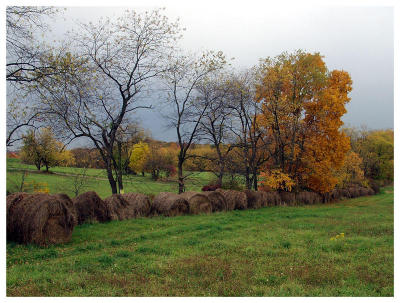 Fall Fields (hay bails, farm, foliage)