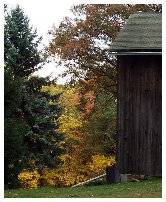 Barn & Fall Leaves (foliage, farm)