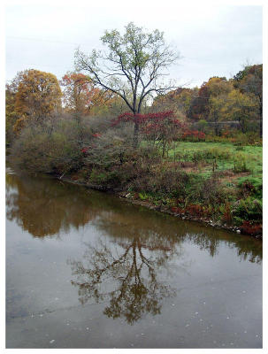 Country Reflections (river, fall, foliage)