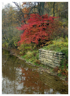 ...More Reflections (fall foliage, leaves, stone wall)