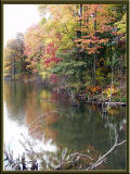 Fall Pond (foliage, reflection)