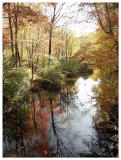 More Reflections (fall foliage)