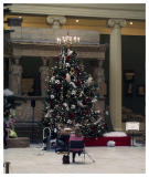 The museum gets ready for Holiday Display--One Tree up and Decorated