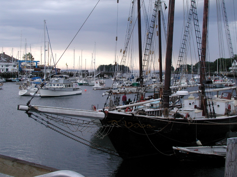 Camden Schooner