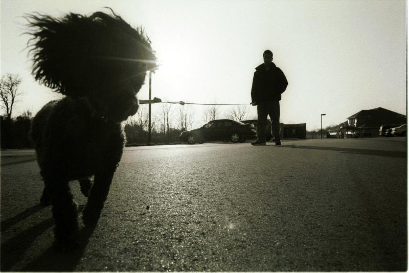 victor and his dog