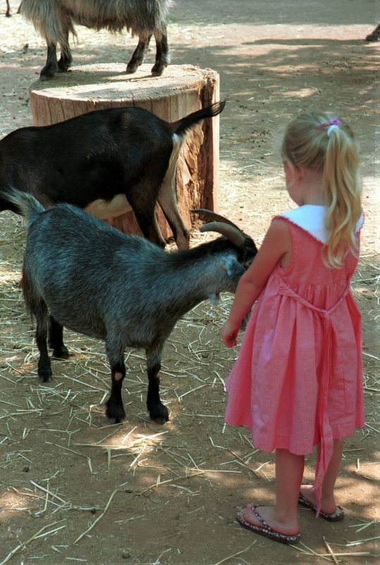 girl with goat