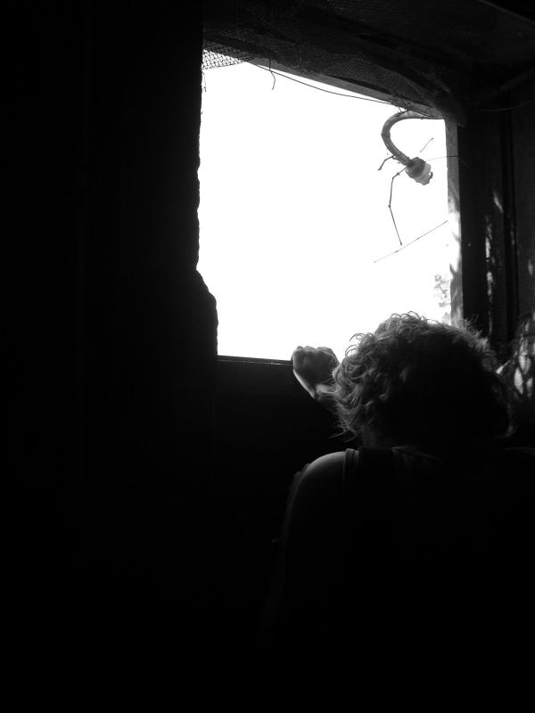 DSCN2888.JPG