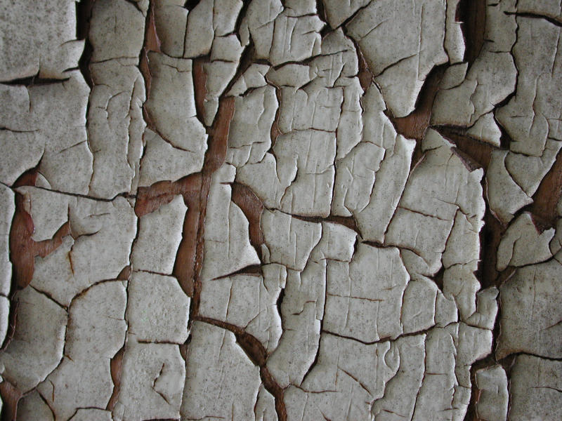 Dscn3071.jpg