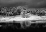 Stormy Day Pond