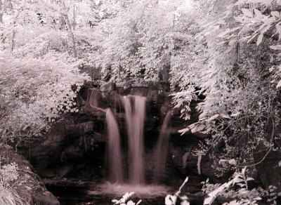 cincy zoo waterfall infrared