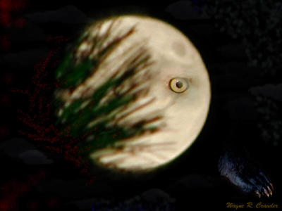 Eye in the moon 2.jpg