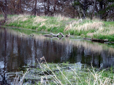 the dam.jpg