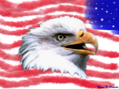 eagle flag.jpg