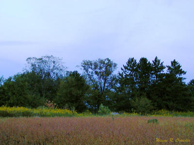 house from pond.jpg