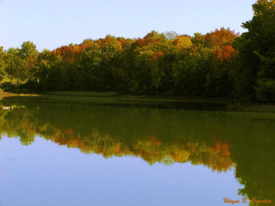 Early fall reflection.jpg