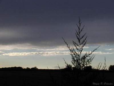 Under a cloud.jpg
