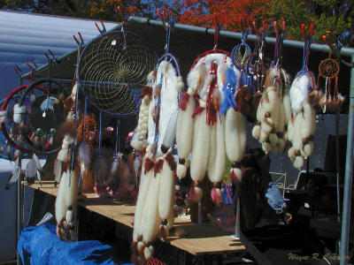 Fancy Dreamcatchers.jpg