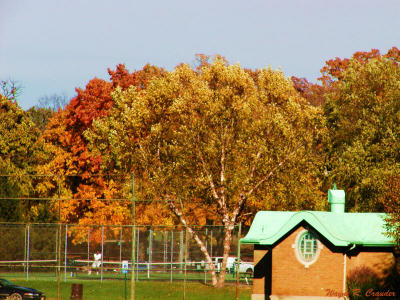 Bradley Park.jpg