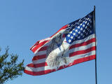 Native American US Flag.jpg