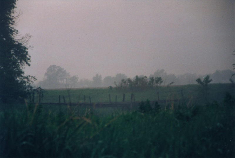 bridge in fog.jpg