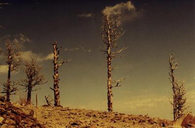 u/dmarvin/medium/7940.sugarloaf.jpg