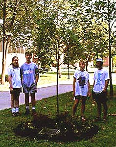 AIDS Walk 1998