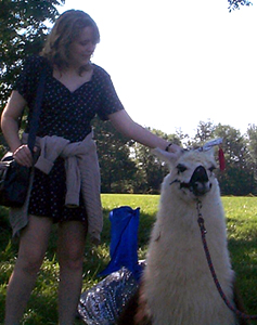 Flying Llama, KY '00