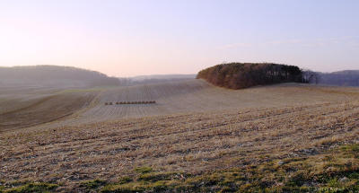 Warm and Misty December 1st