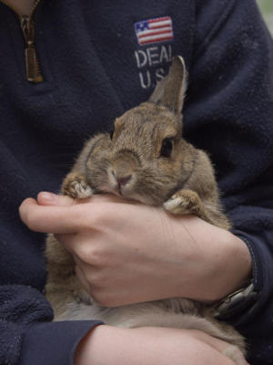 Babynickel