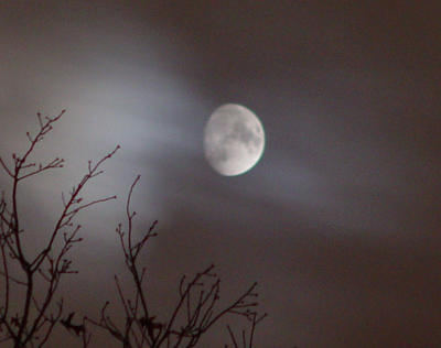 Ghost Moon