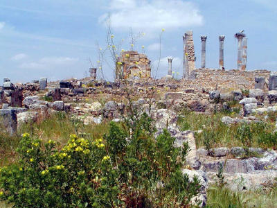Ancient Roman Ruins