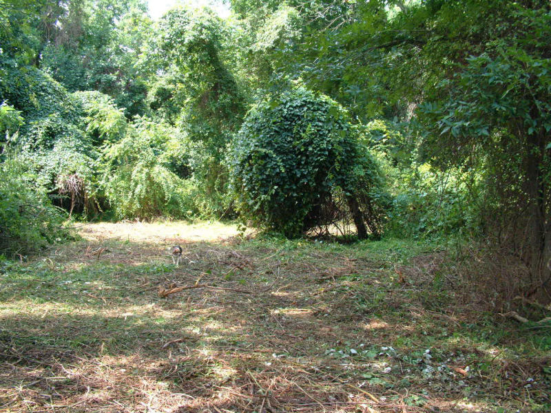 2001-09-016.JPG