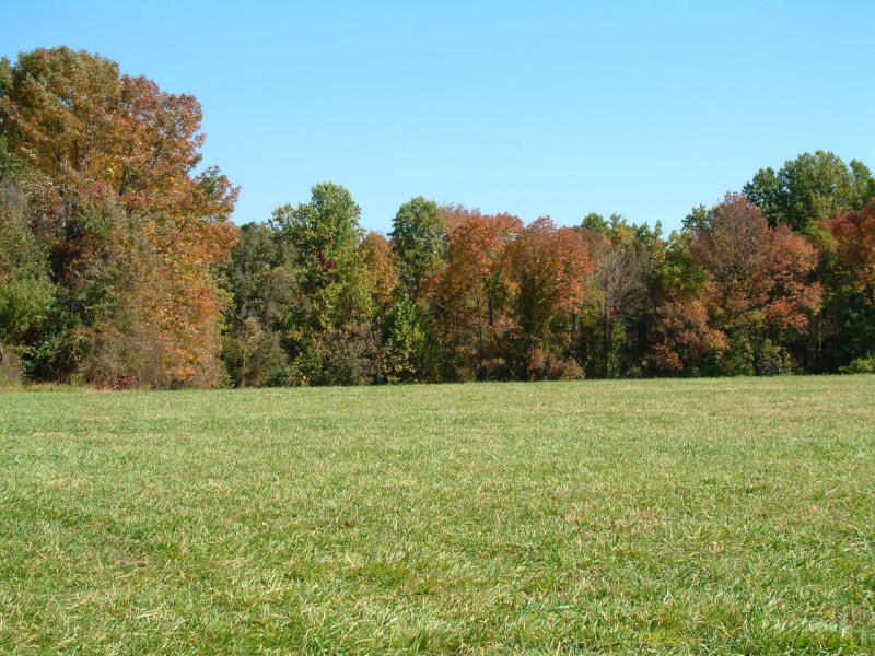 2001-10-011.JPG
