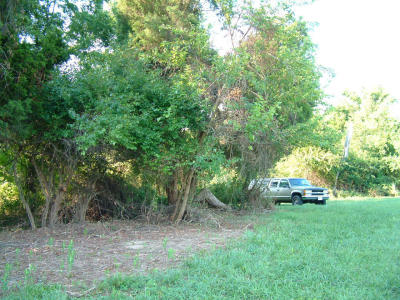 2001-08-004.JPG