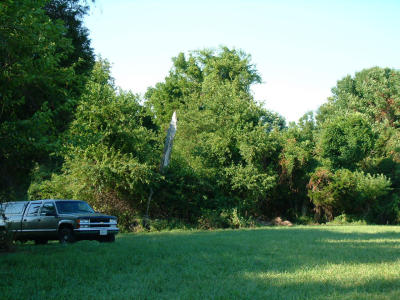 2001-08-005.JPG