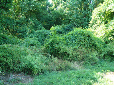 2001-08-008.JPG