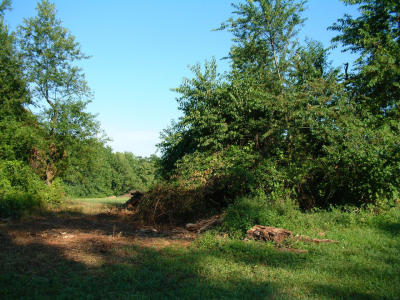 2001-08-009.JPG