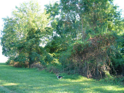 2001-08-030.JPG