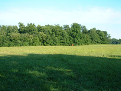 2001-08-031.JPG