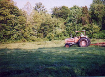 2001_05-4.jpg