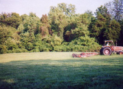 2001_05-5.jpg