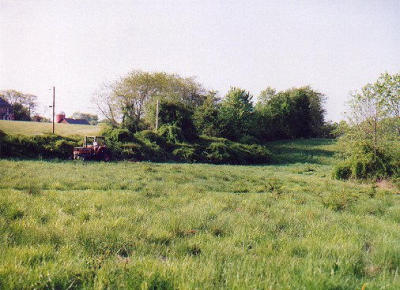 2001_05-6.jpg