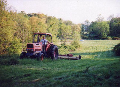 2001_05-7.jpg