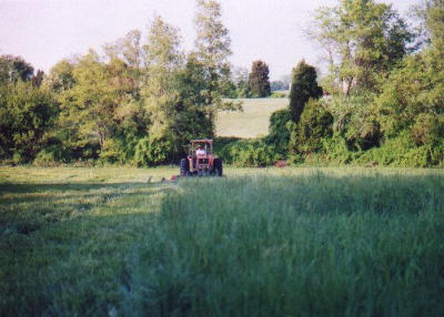 2001_05-8.jpg