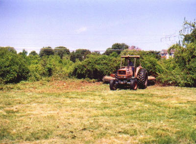 2001_05-A.jpg