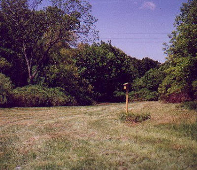 2001_05-B.jpg