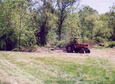 2001_05-C.jpg