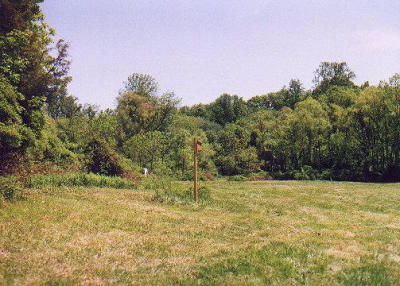 2001_05-D.jpg