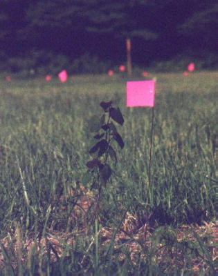 2001_05-F.jpg