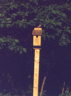 2001_05-H.jpg
